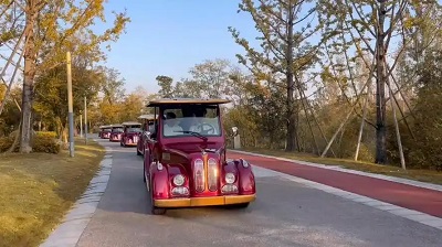 青岛观光车修理许可证办理指南：流程详解与要点把控