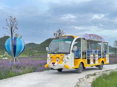 青岛观光车修理资质全解析，鼎尔观光车助力您轻松达标