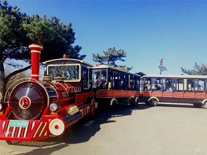 专业代办：邯郸企业如何高效获取观光车修理资质？