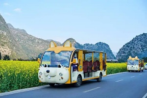 邯郸观光车维修企业：您的修理许可证办了吗？