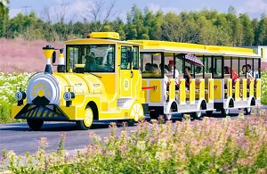 苏州观光车修理许可证申请指南