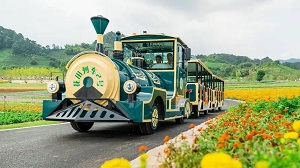 苏州景区观光车生产许可证办理流程：从样机测试到取证全指南