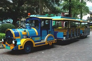 苏州观光车制造许可证代办费用解析：成本构成与省钱攻略