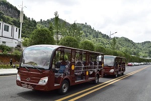 苏州观光车生产许可证代办可靠吗？揭秘选择技巧与风险防范