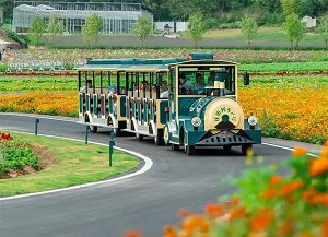 菏泽观光车生产许可证办理机构哪家靠谱？代办多少钱?