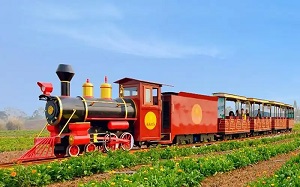 聚焦滨州观光车维修许可证：开启后市场服务金矿的钥匙