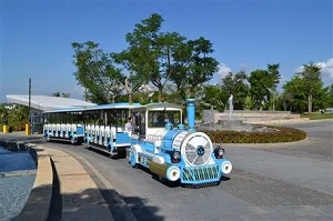 郑州观光车生产许可证办理攻略，助力企业合规生产