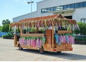 安阳观光车生产许可证办理条件简析，助您高效取证