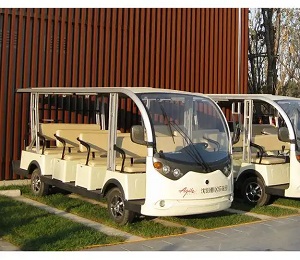 精打细算：鹤壁办理观光车许可证需要多少钱？